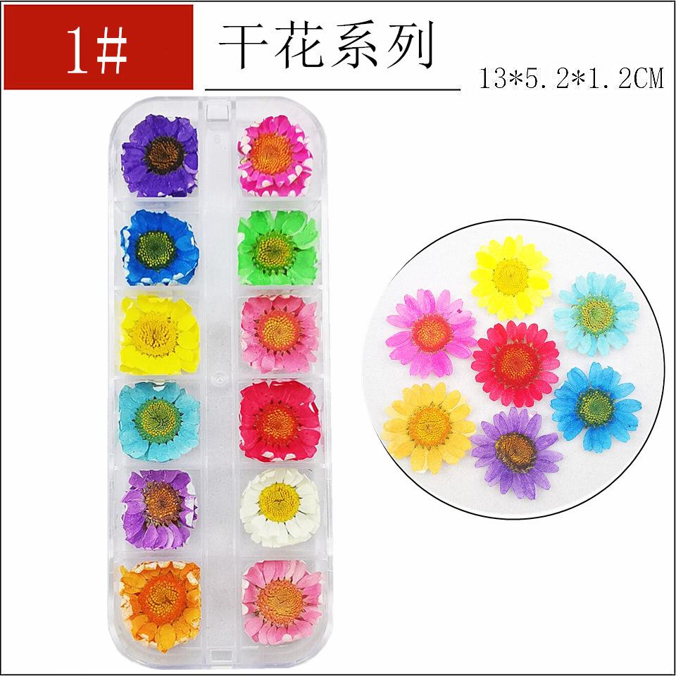 干花1-1_副本