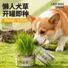 Caja de Hierba para Perros Maceta Hidropónica sin Tierra Semillas de Trigo Hierba Perezosa para Gatos Hierba Gatuna Enlatada Snacks para Mascotas Suministros