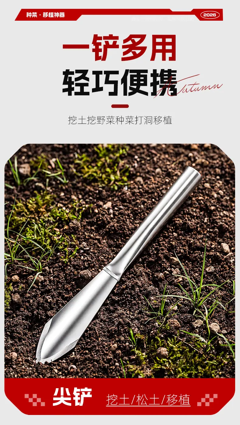 无标_04.jpg