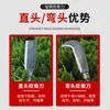 Hoz Exterior de Acero de Alto Manganeso, Machete de Acero Inoxidable, Cuchillo para Cortar Árboles, Herramienta Agrícola para Cortar Hierba, Machete para Limpiar Caminos