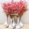 Mudas de Nandina em vasos para ambientes internos, plantas aquáticas cultivadas em pátios, Nandina vermelha flamejante, bordaduras de flores para ambientes externos, plantas para paisagismo em sebes
