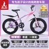 Bicicleta Infantil Phoenix para Niñas de 6-12-15 Años, Adolescentes, Niños Mayores, Bicicleta de Montaña con Cambios para Estudiantes
