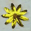 Lantejoulas contas de estrela de nove pontas flor de nove pétalas dança adorno de cabeça acessórios de vestuário acessórios 8cm [atacado à vista]]
