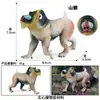 Juguete de Modelo Animal Sólido para Niños Simulación Primates Mono Gorila Simio Chimpancé Regalo Cognitivo