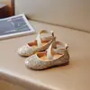 Sapatos de couro para meninas, novo estilo primavera e outono 2025, sapatos infantis, sapatos de princesa para meninas, mocassins de sola macia, sapatos de performance de boca rasa.