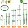 Estrutura de Suporte para Plantas Trepadeiras para Rosas e Clematites, Estrutura de Suporte para Trepadeiras para Uso em Varanda e Casa, Estrutura de Suporte para Orquídea Garra de Caranguejo