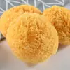 Hongo Tremella Seco de Gutian, Fujian, 500g Granel Grado Comercial, con Impurezas 5% y Humedad 12%