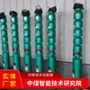 Principio de Funcionamiento de la Bomba de Pozo Profundo Introducción Detallada a la Bomba de Pozo Profundo Suministro Directo de Bomba de Pozo Profundo en Stock