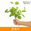 Parede de Plantas Simuladas Parede de Plantas Verdes Gramado Falso de Plástico Parede de Fundo Cabeça de Porta de Eucalipto Loja Interna Parede de Flores Decoração
