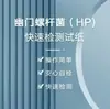 Tiras de Teste Rápido Luofu Meiyou para Helicobacter Pylori (Hp) - 1 Kit de Teste, Unidade Única, Data Nova