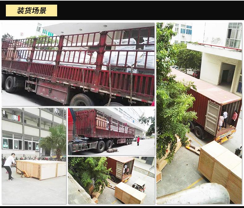 G-300DS-LF-C步进马达_09