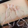 Techo de Hermana Dulce ~ Lazo Dulce de Cinta Pinza para el Cabello de Cinta Pinza de Pato Accesorios para el Cabello Puesto de Pinzas Un Yuan