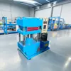 Máquina vulcanizadora de piezas de caucho negro Ruilian 30t, Equipo de conformado en caliente a presión de moldes para dar forma a anillos de sellado de caucho