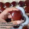 Venta al por mayor mixta de varios tipos de semillas de Bodhi, incluyendo Bodhi, Bodhi Diamante, Bodhi Ojo de Fénix, Bodhi Ojo de Dragón, Jaboncillo y Raíces Weathered