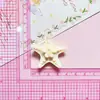Concha de Estrella de Mar Grande para Océano DIY Funda para Teléfono Móvil Zapatos con Agujeros Horquilla Accesorios para el Cabello Materiales para Accesorios de Resina Venta al por Mayor