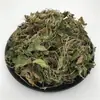 Venta al por mayor y Dropshipping de Pu Fu Jin (Pu Fu Jin Pu Fu Jin) Hierba de Ginseng Chaoshan Loto de Siete Estrellas