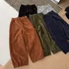 2026 Novo Estilo Coreano Moda Cintura Elástica Cordão Calça Casual Feminina Solta Emagrecimento Versátil Calça Longa Calça de Veludo