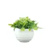 Atacado da Fonte Fabricante: Bonsai Artificial, Plantas Decorativas de Interior para Mesas de Café e Mesas de Conferência, Paredes Verdes de Plantas, Folhas de Pinheiro e Grama