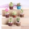 Micro-paisagem suculenta planta em vaso cacto jóias acessórios diy enfeites de decoração para casa