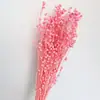 Flores Secas de Yunnan, Frijoles de Acacia, Frijoles de la Riqueza, Frijoles de Cáñamo, Flores Conservadas, Accesorios de Tapa de Vidrio, Decoración del Hogar, Flores Secas con Nervaduras