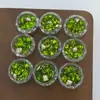 Dongzhou Diamante Cristal Platycodon Verde Uñas Diamante Alta Calidad K9 Lote Completo Brillante Verde Oliva Huevo de Paloma Fondo Puntiagudo Diamante Accesorios para Uñas
