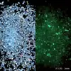 Grava Luminosa Material de Relleno de Bolas Hecho a Mano Bola Ruidosa Arena Movediza Mahjong Pegamento de Cristal Bolsita para Joyería Hecha a Mano