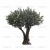 Árvore de Oliva Simulada para Interior de Hotel Mesa de Jantar Vasos Bonsai Decoração Árvore de Oliva Biônica Artificial Árvore Falsa Paisagismo