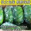 Limón Perfumado Sin Semillas de Hainan Limón Bala Cáscara de Limón Delgada Tienda de Té con Leche Té de Limón Hecho a Mano Especial Lima Fresca