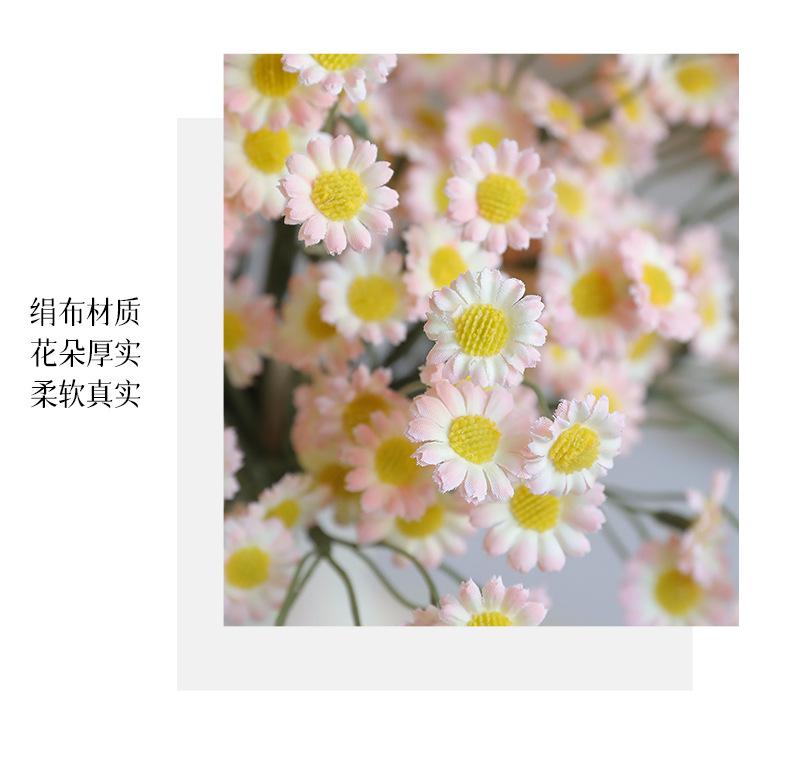 妙彤6枝手札小雏菊_06.jpg