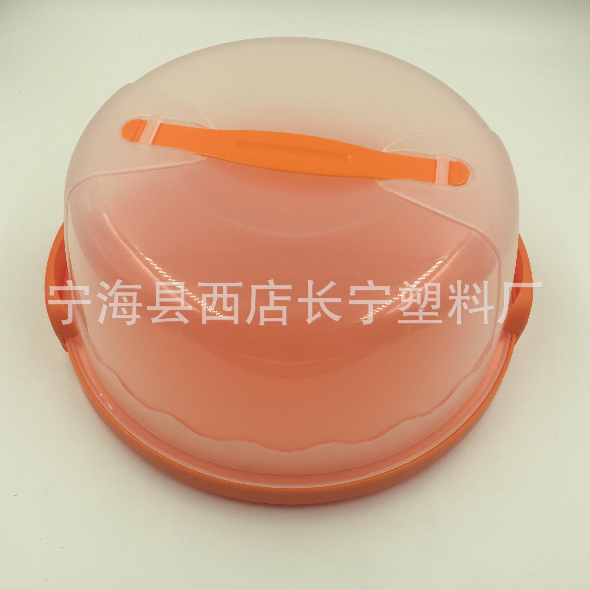 照片 004