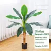 Lírio Artificial Bonsai de Interior Sala de Estar Planta Verde Artificial Planta Grande Sala de Estar Árvore Sangue de Dragão Decoração Planta Verde Árvore Artificial