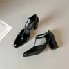 Zapatos Mary Jane Franceses Retro con Tira en T para Mujer 2026 Verano Nuevo Estilo Punta Fina Tacones Altos Tacón Grueso Zapatos Huecos