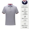 Direto da fábrica de alta qualidade, camisa polo de manga curta de algodão gelado, roupas de trabalho, camiseta com impressão de LOGO da empresa, camiseta bordada