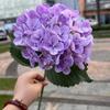 Hortensia verde hidratante de comercio exterior, tacto suave de goma, hortensia de una sola cabeza, hortensia grande, decoración suave para bodas, fabricante de flores falsas