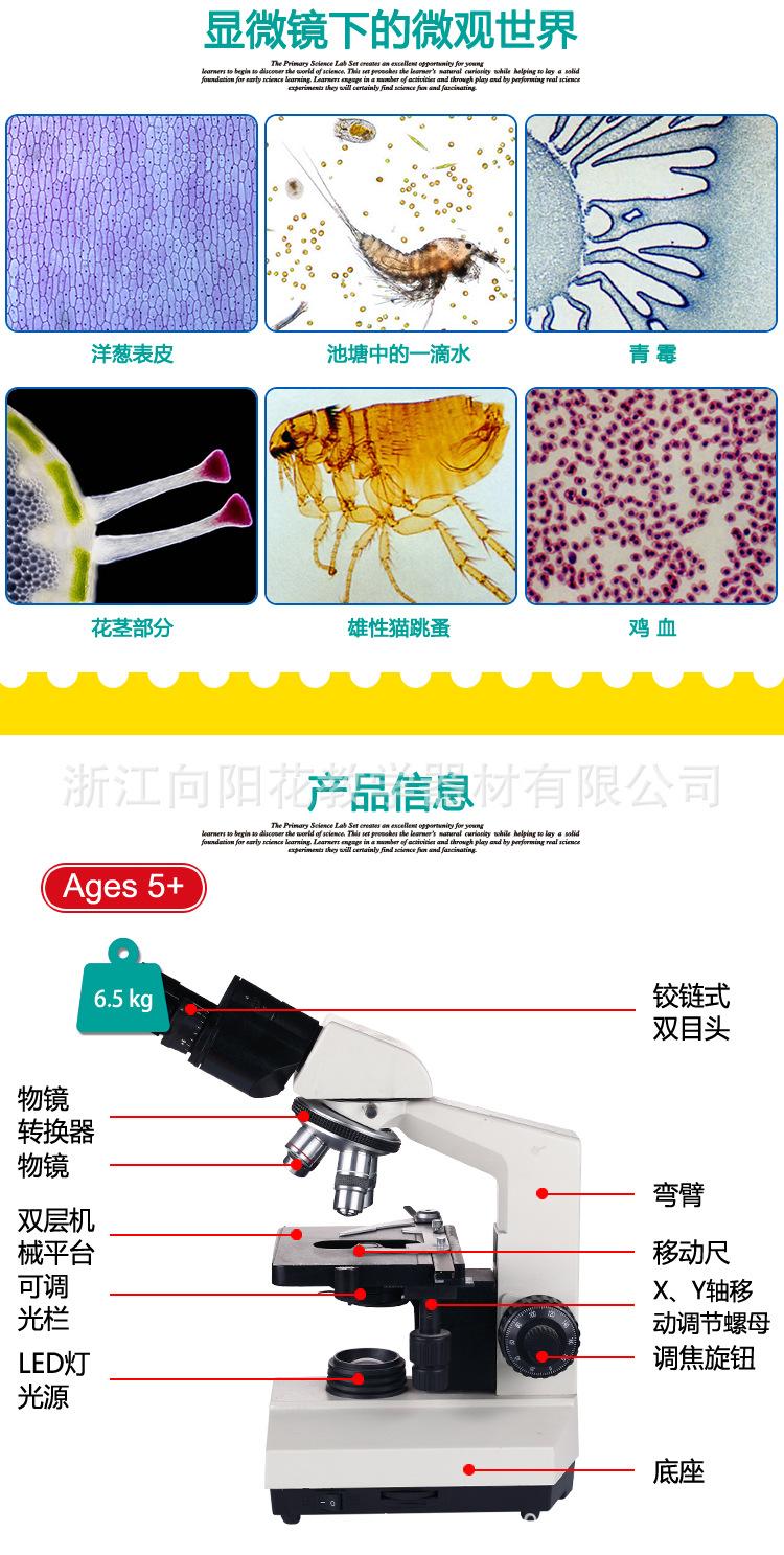 XSZ-108BN  显微镜宝贝详情-3