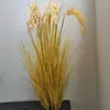 Espigas de Arroz Híbrido: Modelo de Planta de Espiga de Trigo Artificial, Modelo de Campo de Arroz con Espigas de Cebada