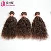 Peruca Xuchang Atacado Europeu e Americano Cabelo Humano Real Castanho Cacheado Kinky Extensão de Cabelo Humano