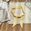Bufanda de Cuadros Fresca y Sencilla Estilo Coreano con un Toque Juvenil, Moderna y Casual para Salidas, Bufanda de Seda de Primavera, Accesorio de Cuello Delgado y Artístico
