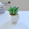 Suculenta Pequeño Bonsái Cerámica Muebles para el Hogar Decoración Fabricante de Jinhua Plantas Verdes Aliexpress Flor Artificial Plantas en Maceta