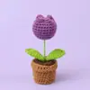 Planta Artificial de Crochê de Lã Feita à Mão Transfronteiriça Flor Miosótis Ornamentos Criativos para Mesa Decoração de Carro Flores Artificiais
