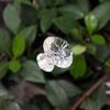Manija transparente sólida para puerta de gabinete, manija de diamante de cristal acrílico, un solo agujero con tornillo, manija tipo pomo para cubierta de cajón