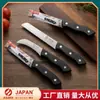 Cuchillo para Fruta de Acero Inoxidable para el Hogar, Pelador de Frutas, Pelador de Frutas y Verduras, Cuchillo para Rebanar Frutas, Venta al por Mayor por Fabricante Asakh-No.237