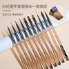 Conjunto de canetas de manicure japonesas, pintura colorida, caneta em camadas de flores, caneta de terapia de luz, caneta de construção com corante brilhante, ferramentas de caneta de manicure colorida Curry