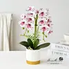 Flor Artificial com Dois Ramos e 14 Flores, Orquídea Phalaenopsis de Toque Real em Vaso, Flor Falsa para Decoração de Casa, Buquê para Fotografia, Arranjo de Flores Artificiais