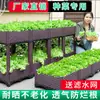 Caixa de Plantio para Varanda, Caixa Especial para Cultivo de Vegetais, Vaso de Flores Grande Retangular para Jardim Residencial e Uso Externo