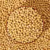 Soja comestible para germinar en el noreste de China, frijoles especiales para germinar, frijoles crudos de Heilongjiang, frijoles pequeños y grandes