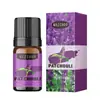 Máquina de aromaterapia transfronteriza aceite esencial soluble en agua 5 ml para humidificadores y difusores de aire fresco, directo de la fábrica fuente