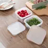 Caixa de Armazenamento para Cebolinha Verde Doméstica Cozinha Cebola Gengibre Alho Caixa Drenante Geladeira Pequeno Tempero Anti-odor Caixa Especial para Armazenamento de Alimentos