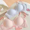 Sutiã Feminino Observation Rabbit para Seios Pequenos, Antidecair, Levanta-Busto, Suporte Lateral, Sem Fio, Fino, Sem Costura, Sutiã para Adolescentes