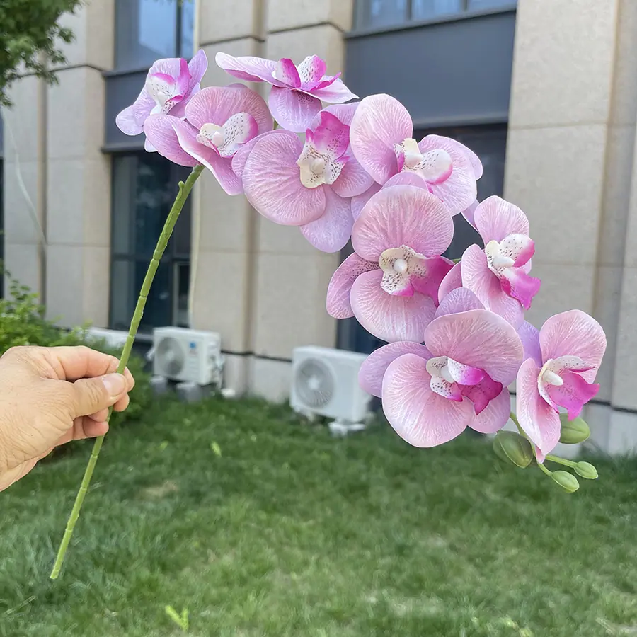 9头短杆3D打印蝴蝶兰-xlmwdx-浅纹紫红.JPG